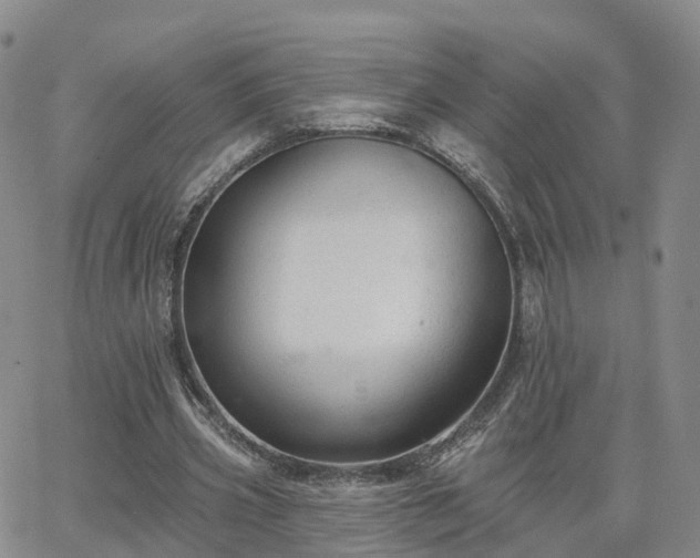 X0000063490533200601231414