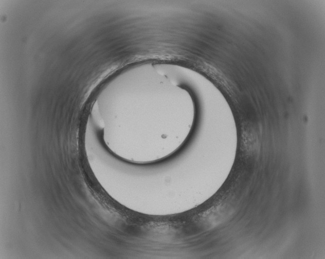 X0000063490534200601231414