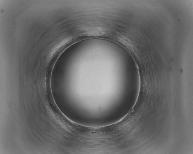 X0000063490535200601231414