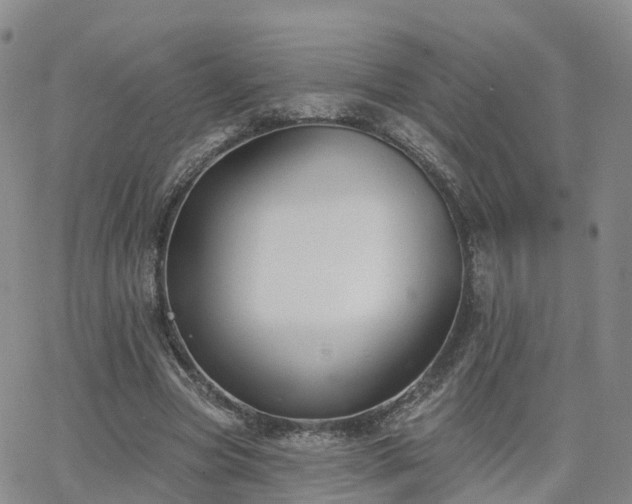 X0000063490537200601231414