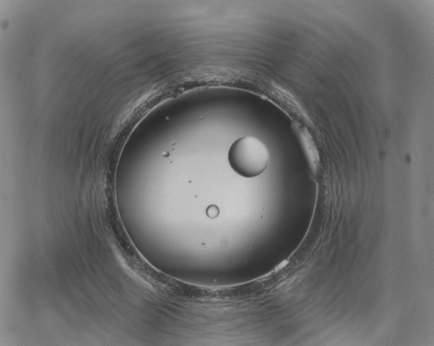 X0000063490538200601231414