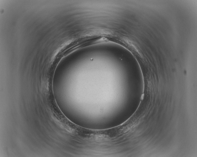 X0000063490539200601231414