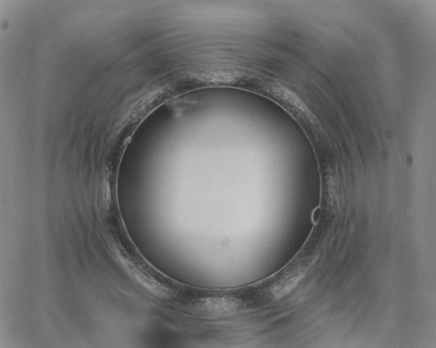 X0000063490541200601231414