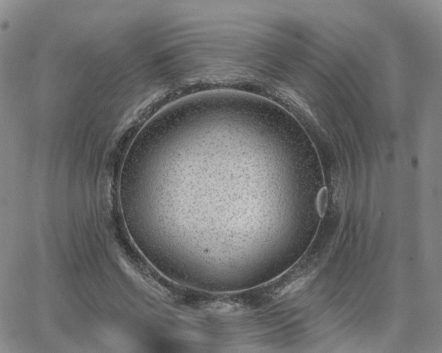 X0000063490542200601231414