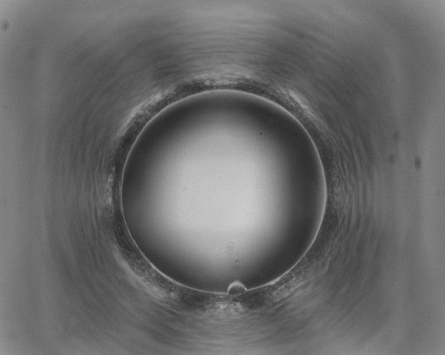 X0000063490543200601231414