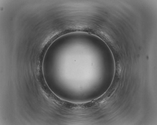 X0000063490544200601231414