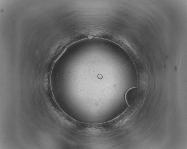 X0000063490545200601231414