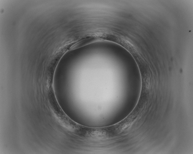 X0000063490546200601231414