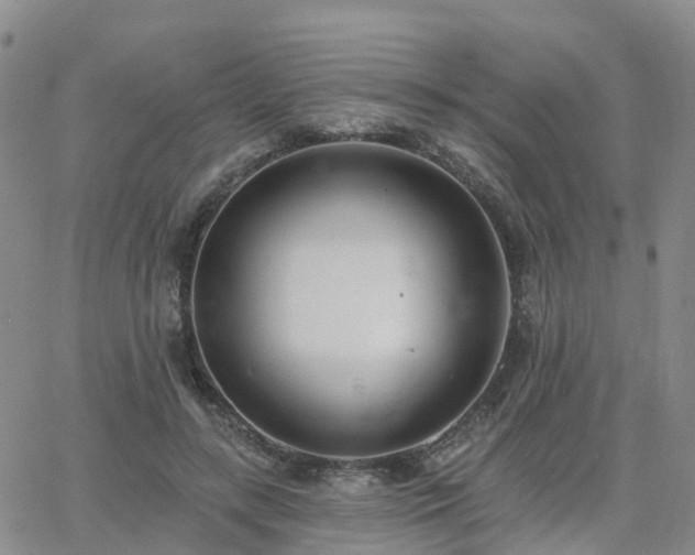 X0000063490547200601231414