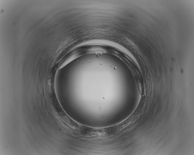 X0000063490552200601231415