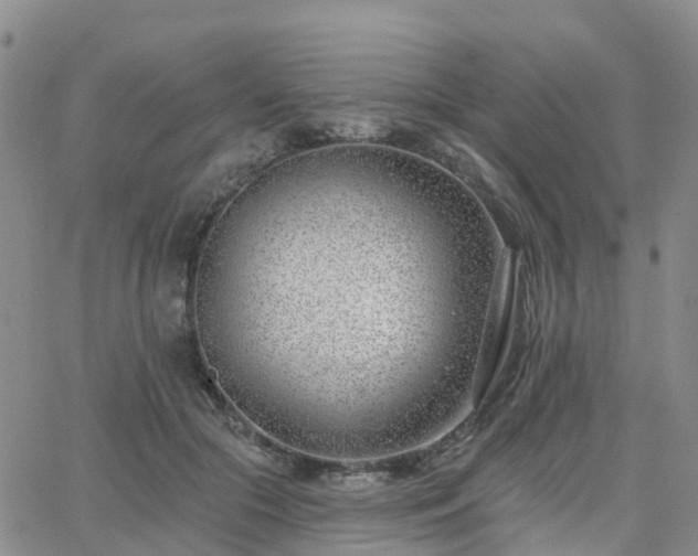 X0000063490553200601231415