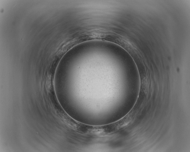 X0000063490554200601231415