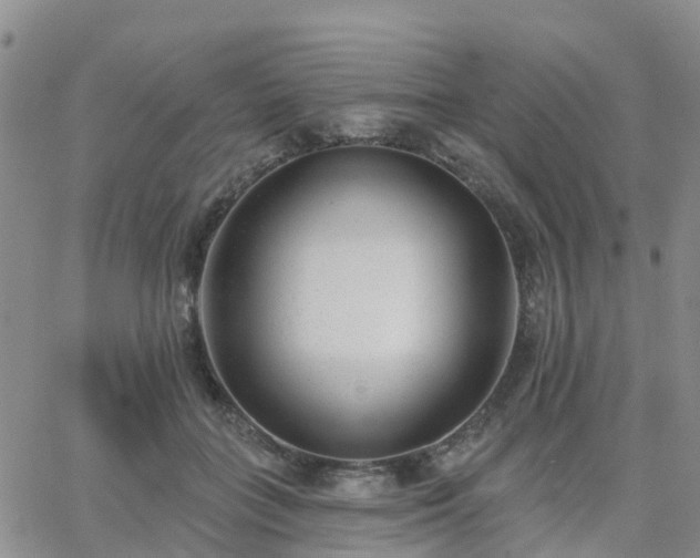 X0000063490555200601231415