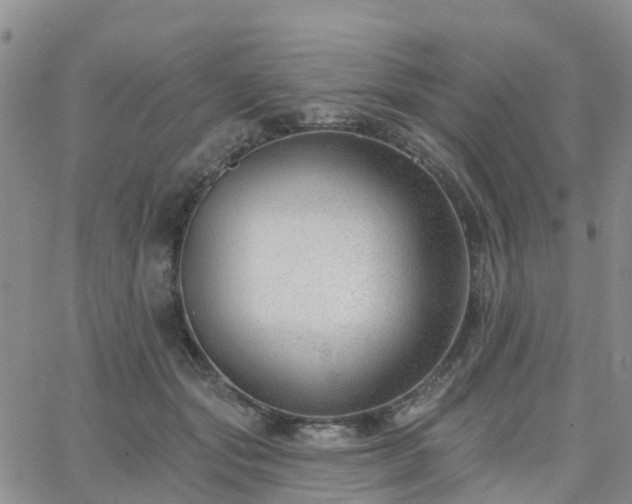 X0000063490557200601231415