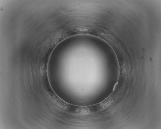 X0000063490559200601231415