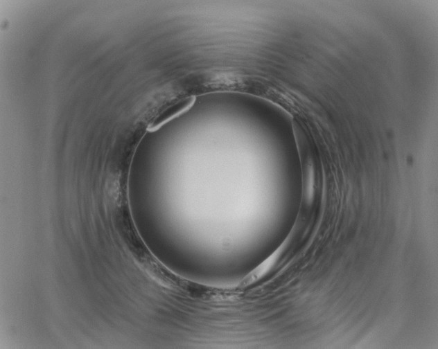 X0000063490560200601231415