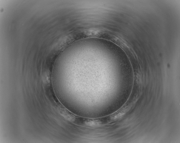 X0000063490561200601231415