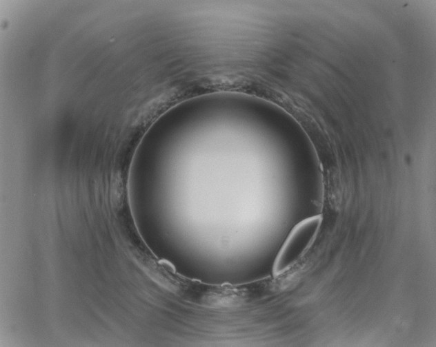 X0000063490563200601231415