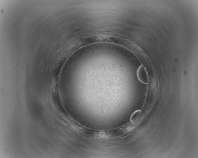 X0000063490565200601231415