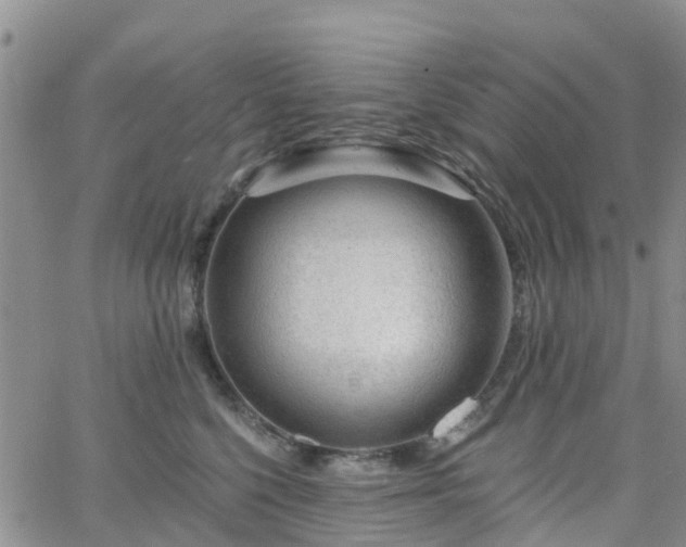 X0000063490568200601231415