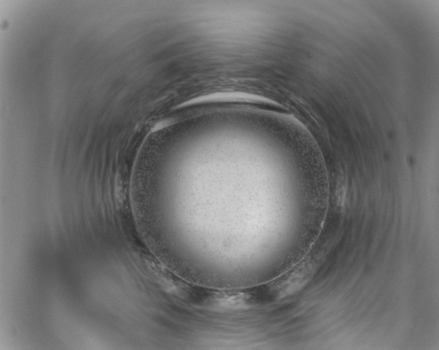 X0000063490569200601231415