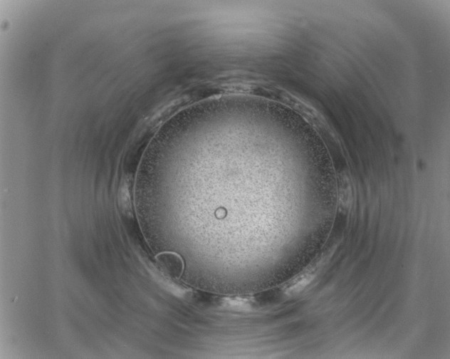 X0000063490573200601231415