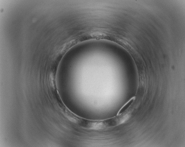 X0000063490575200601231415