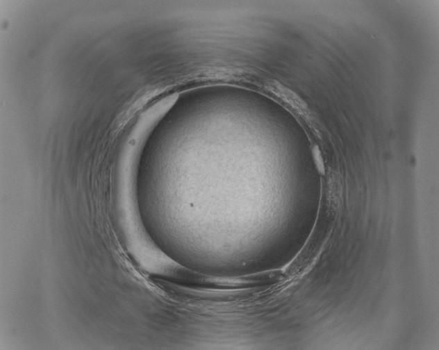 X0000063490577200601231414