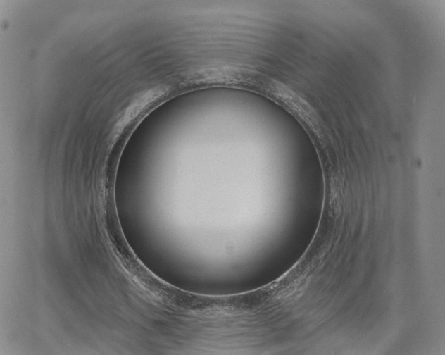 X0000063490578200601231414