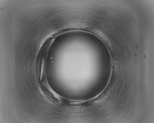 X0000063490580200601231414