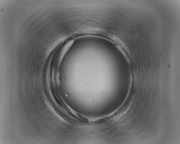 X0000063490581200601231414