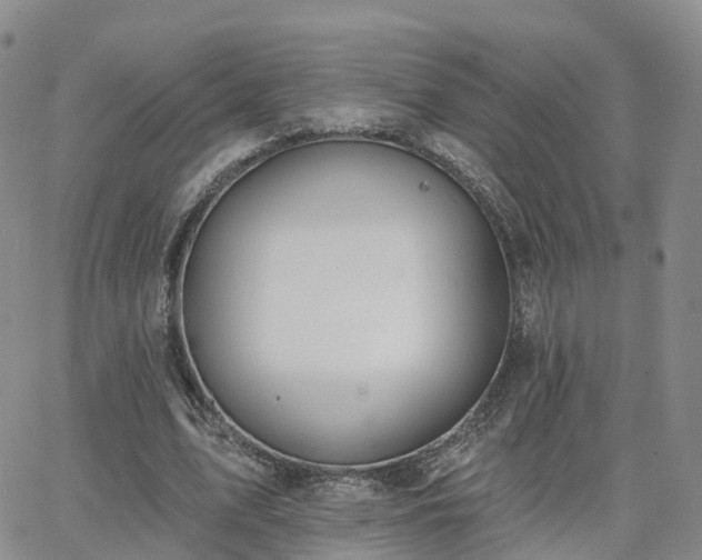 X0000063490583200601231414