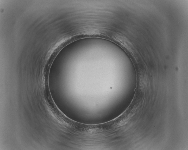 X0000063490584200601231414