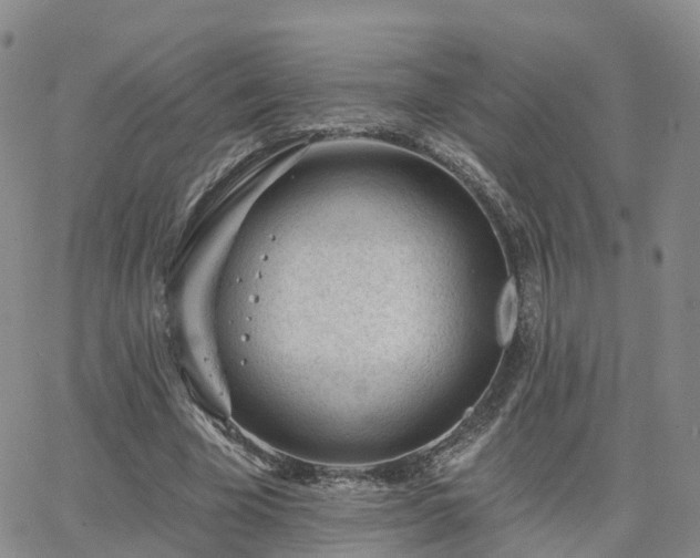 X0000063490585200601231414