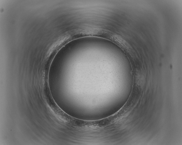 X0000063490586200601231414