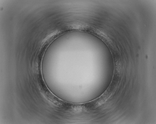 X0000063490587200601231414