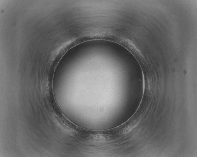 X0000063490588200601231414