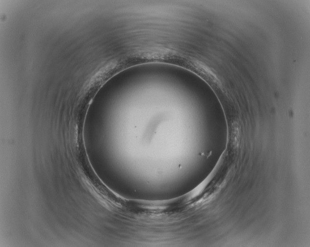 X0000063490589200601231414