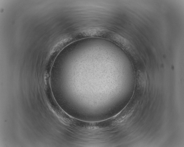 X0000063490590200601231414