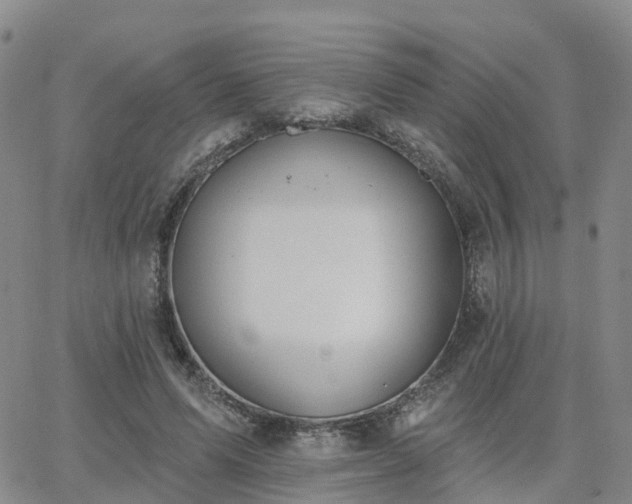 X0000063490591200601231414