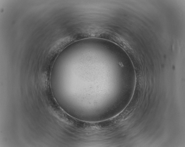 X0000063490594200601231414