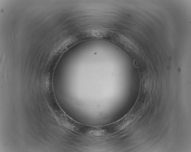 X0000063490595200601231414