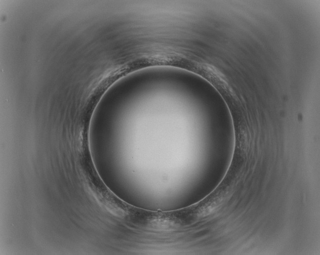 X0000063490596200601231414