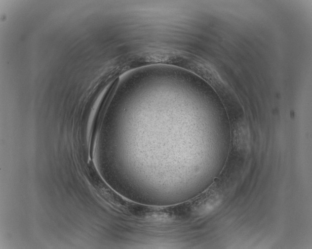 X0000063490598200601231414