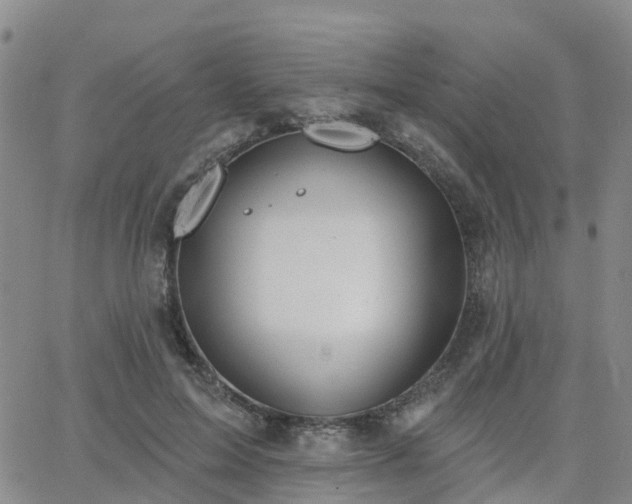 X0000063490599200601231414