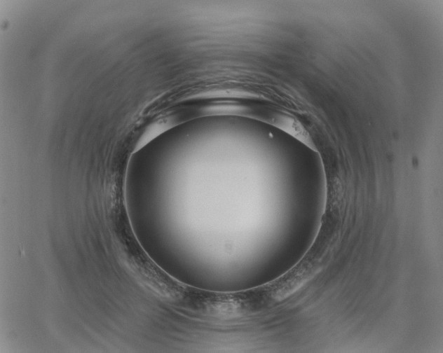 X0000063490600200601231414