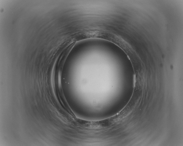 X0000063490601200601231414