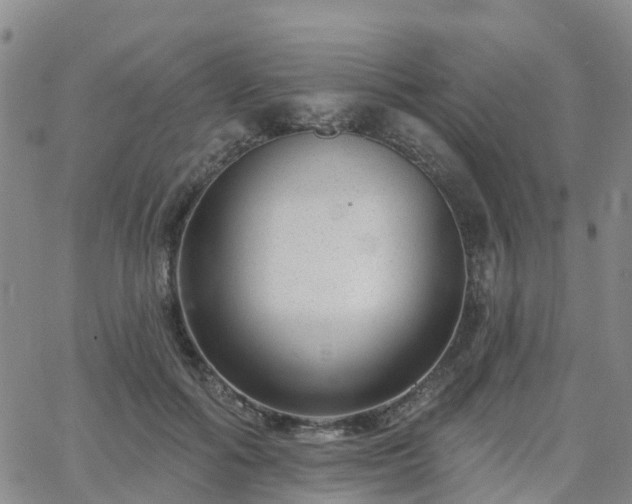 X0000063490602200601231414