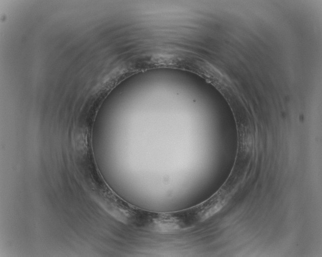 X0000063490603200601231414