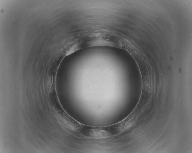 X0000063490605200601231414